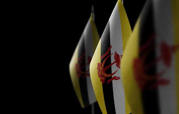 The Intriguing yet Authoritarian Nation of Brunei